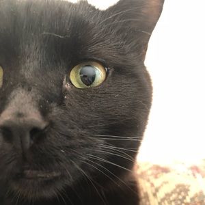 Meet your Posher, Monica